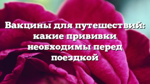 Вакцины для путешествий: какие прививки необходимы перед поездкой