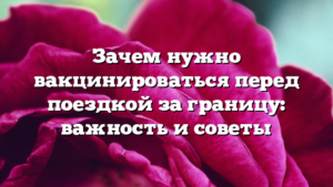 Зачем нужно вакцинироваться перед поездкой за границу: важность и советы