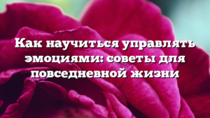 Как научиться управлять эмоциями: советы для повседневной жизни