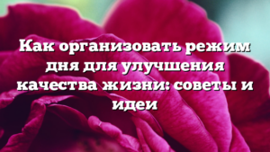 Как организовать режим дня для улучшения качества жизни: советы и идеи
