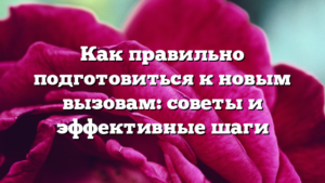 Как правильно подготовиться к новым вызовам: советы и эффективные шаги