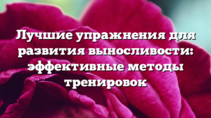Лучшие упражнения для развития выносливости: эффективные методы тренировок