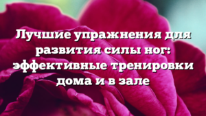 Лучшие упражнения для развития силы ног: эффективные тренировки дома и в зале
