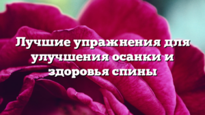 Лучшие упражнения для улучшения осанки и здоровья спины