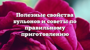 Полезные свойства бульонов и советы по правильному приготовлению