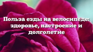 Польза езды на велосипеде: здоровье, настроение и долголетие