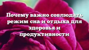 Почему важно соблюдать режим сна и отдыха для здоровья и продуктивности