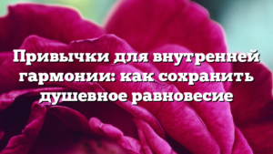 Привычки для внутренней гармонии: как сохранить душевное равновесие