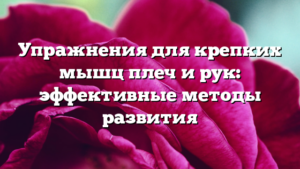 Упражнения для крепких мышц плеч и рук: эффективные методы развития