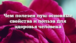 Чем полезен лук: основные свойства и польза для здоровья человека