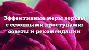 Эффективные меры борьбы с сезонными простудами: советы и рекомендации