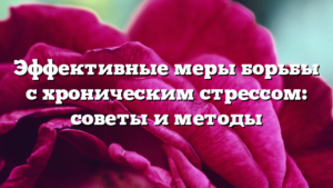 Эффективные меры борьбы с хроническим стрессом: советы и методы