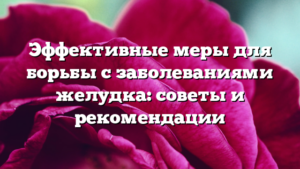 Эффективные меры для борьбы с заболеваниями желудка: советы и рекомендации