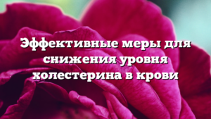 Эффективные меры для снижения уровня холестерина в крови