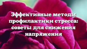Эффективные методы профилактики стресса: советы для снижения напряжения